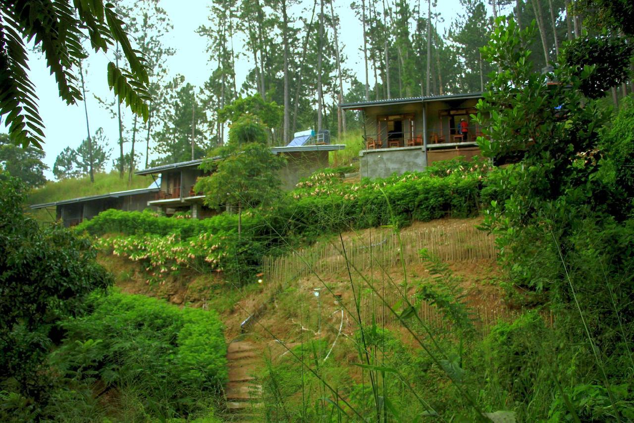 Rowinrich Cottages Ella Exteriér fotografie
